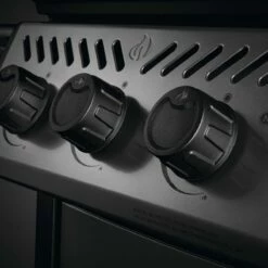 Napoleon Freestyle 425, 4 Hauptbrenner, Mit Sizzle Zone Seitenbrenner, Graphit -Grill Verkaufs-Shop napoleon freestyle 425 4 hauptbrenner mit sizzle zone seitenbrenner graphit 20c7cb3c006a738a4d7762835f80460a