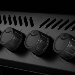 Napoleon Phantom Freestyle 425, Mattschwarz – Modell 2023 -Grill Verkaufs-Shop napoleon phantom freestyle 425 mit edelstahl rosten und tuer mattschwarz f38064585154547b12e3052f4c30a7de