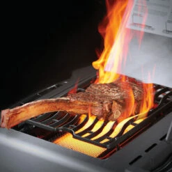 Napoleon Gasgrill Prestige 665, Edelstahl 12 Napoleon Gasgrill Prestige 665, Edelstahl -Grill Verkaufs-Shop napoleon prestige p665rsibpss edelstahl 86c258b56293bfa624afb292d061b043