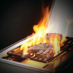 Napoleon Rogue SE 425, Edelstahl