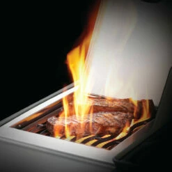 Napoleon Rogue XT 425, Edelstahl -Grill Verkaufs-Shop napoleon rogue xt 425 edelstahl 357816efd73bc9461c871d909ef1c9db